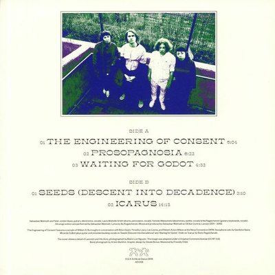 The Dynamics Of Vanity