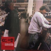 Endtroducing... (180g)