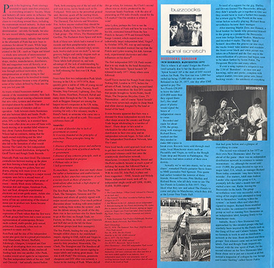 D-I-Y Do It Yourself: Punk Post-Punk Punk Funk & Beyond The Rise Of The Independent Music Industry