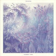 Wildeburg / Coral (clear vinyl)