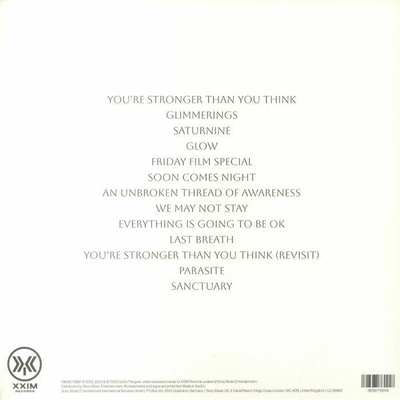 Everything Is Going To Be OK (Deluxe Edition) Clear Vinyl