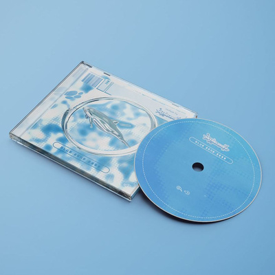 Blue Zone 2000 mixtape (Regular Edition Compact Disc)