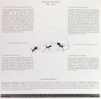Stridulation Amplified: Compositions With The Stridulatory Organ Of Atta Cephalotes