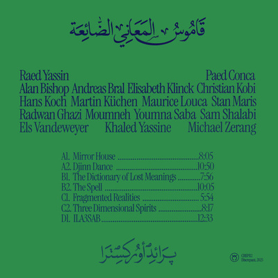 The Dictionary Of Lost Meanings (Gatefold)