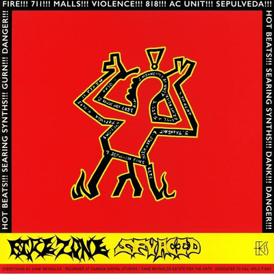 Fire Zone (180g)