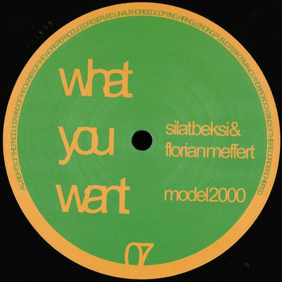 Model 2000