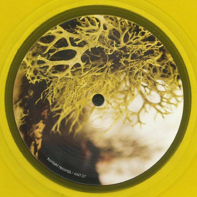 Subduction & Shadows (Clear Yellow Vinyl)