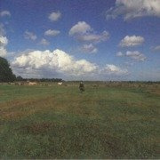 The Hilvarenbeek Recordings