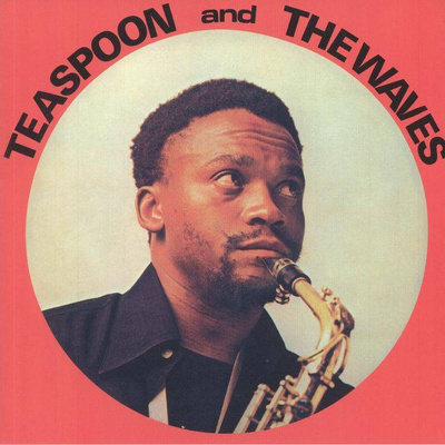 Teaspoon And The Waves