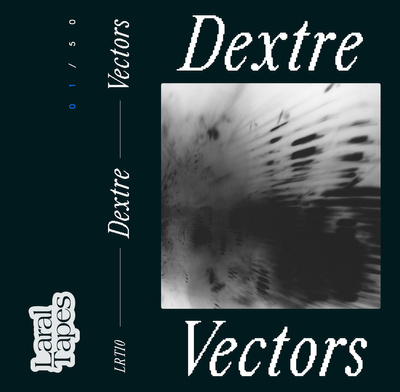 Vectors