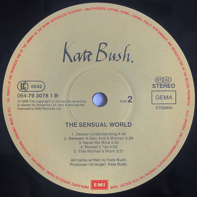 The Sensual World