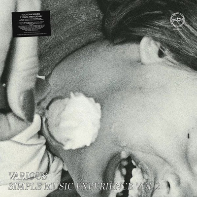 Simple Music Experience Vol. 2