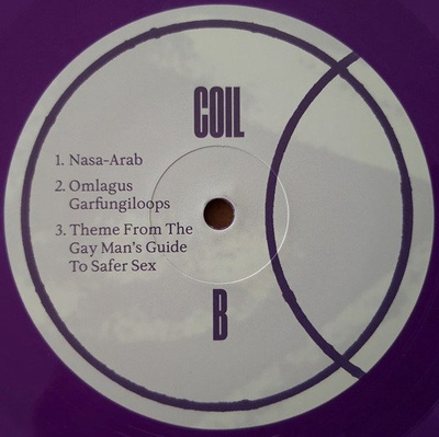 The Gay Man's Guide To Safer Sex +2 (purple vinyl)