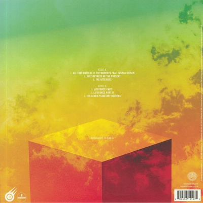 The Afterlife (Record Store Day Black Friday 2019)
