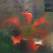 Germ In A Population Of Buildings