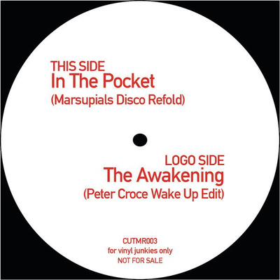 In The Pocket / Awakening