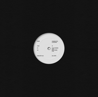 I Heard You Laughing EP (180g)