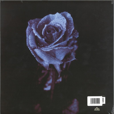 Silence In The Secret Garden (Clear Vinyl)