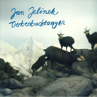Tierbeobachtungen