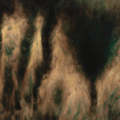 Lamentations (gatefold)