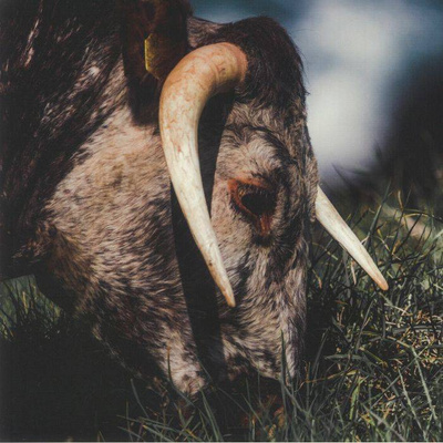 Pushing Through A Wall