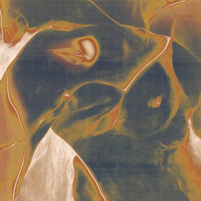 Cri D'amour (Gatefold)