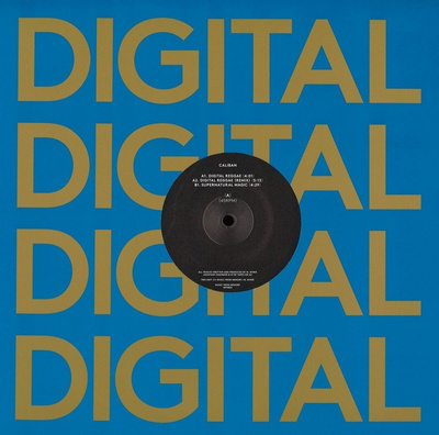 Digital Reggae