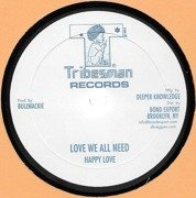 Love We All Need / Roots Rock Special