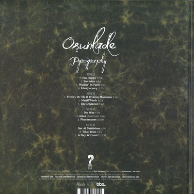 Pyrography (with 32 page hardbound art book)