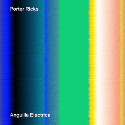 Anguilla Electrica 