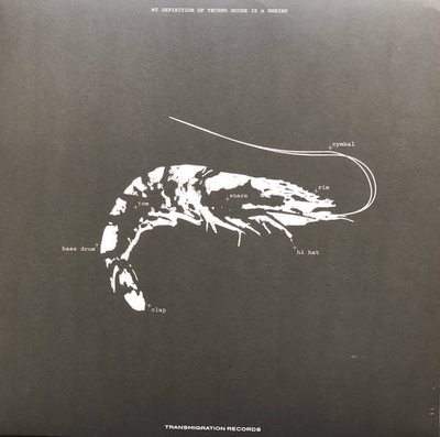 Space Teddy Collection