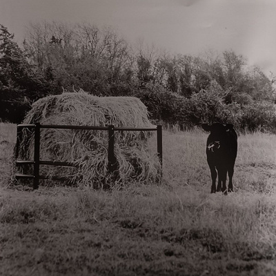 The Universe Smiles Upon You II (Natural Milky Clear Vinyl)