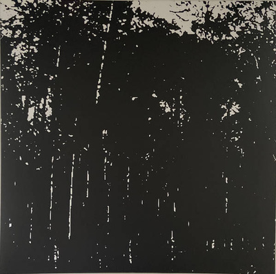Far North (180g)