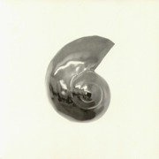 REITEN 0.003