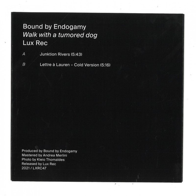 Walk With A Tumored Dog