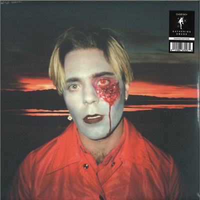 Gathering Swans (coloured vinyl)