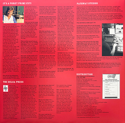 D-I-Y Do It Yourself: Punk Post-Punk Punk Funk & Beyond The Rise Of The Independent Music Industry