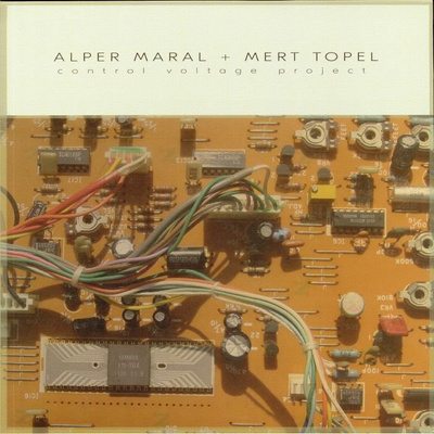 Control Voltage Project