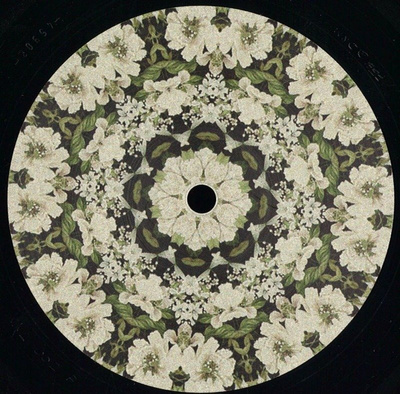 Nanel 002