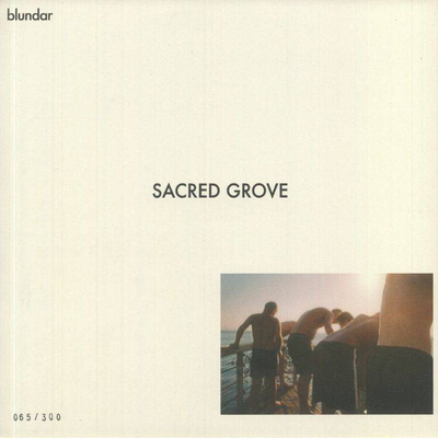 Untitled (BLUNDAR8) 180g