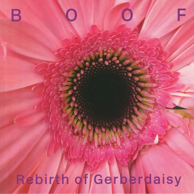 Rebirth Of Gerberdaisy