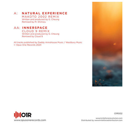 Natural Experience / Innerspace Remixes EP