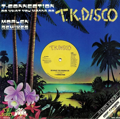 Do What You Wanna Do (Moplen Remixes)