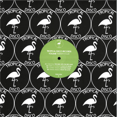 Tropical Disco Edits Vol. 24
