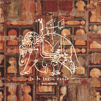 Lo-Fi India Abuse (Picture Disc)