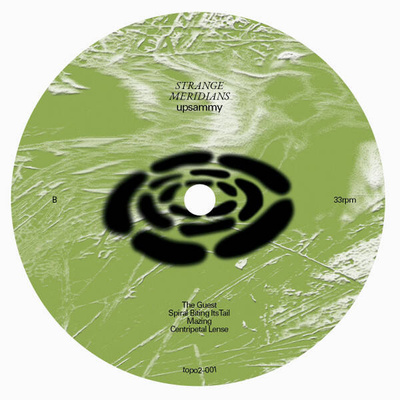Strange Meridians (180g)