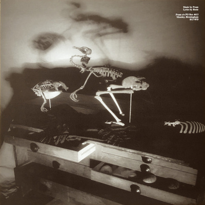 The Museum Of Imaginary Animals [Used / Second Hand]