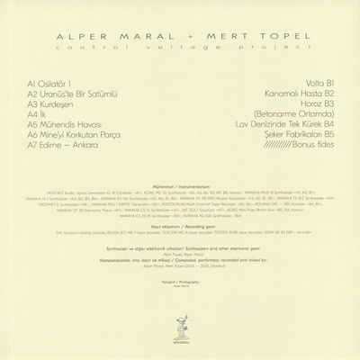 Control Voltage Project