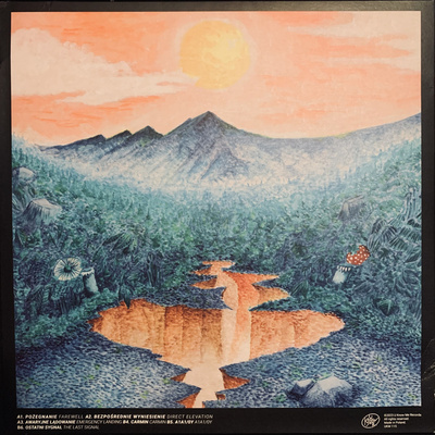 Carmin (Limited Edition Surprise Colour Vinyl) Side One Exclusive Edition