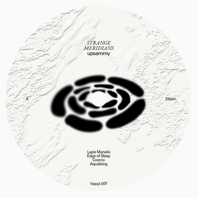 Strange Meridians (180g) Silver-Colored BioVinyl